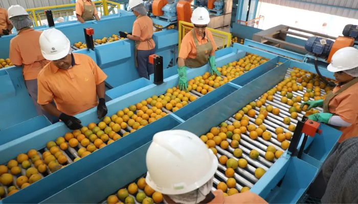 © Ari Dias/Governo do Paraná Confira a lista de quase 700 produtos que não serão taxados pelos EUA
